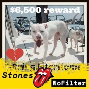 Meet your Posher, Bernadette